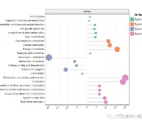 开云体育 -?R们y的简单介绍